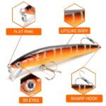 10cm 9g Floating Minnow Fishing Lure Wobbler - Image 8