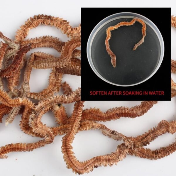 Fishing Lure 6g-10g Natural Dry Fishing Worms Swimbait - Image 4