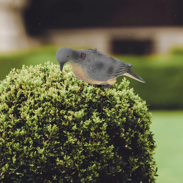 2 Pcs Pigeon Decoy