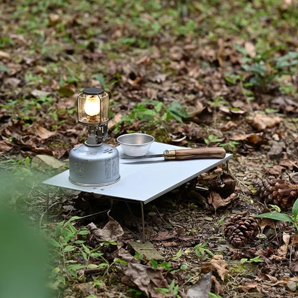 PACOONE's Mini Foldable Table Aluminum Alloy