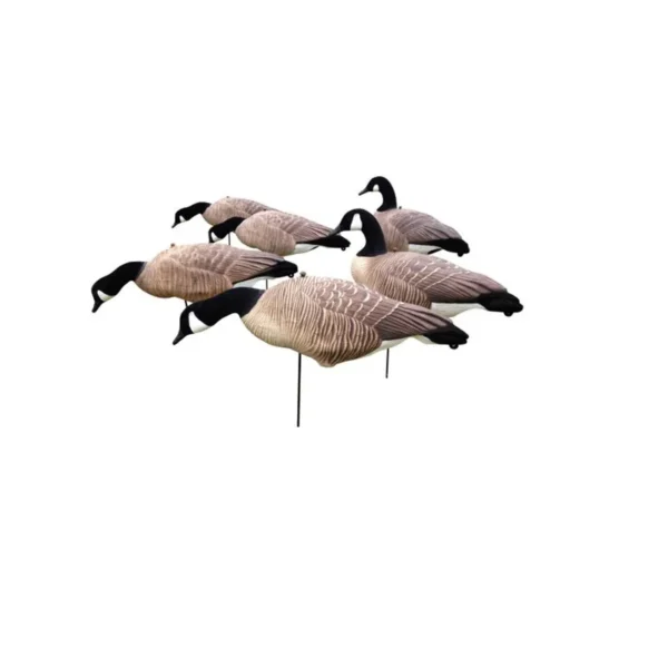 DG XILEI's Canadian Goose Decoys - Per 6