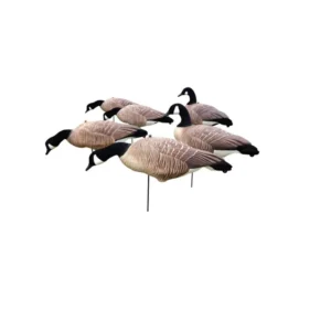 DG XILEI's Canadian Goose Decoys - Per 6