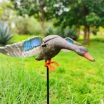 DGXILEI's Dc 6V Plastic Duck Mojo Motorized