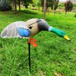 DGXILEI's Dc 6V Plastic Duck Mojo Motorized