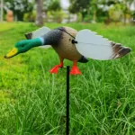 DGXILEI's Dc 6V Plastic Duck Mojo Motorized