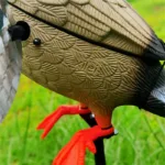 DGXILEI's Dc 6V Plastic Duck Mojo Motorized