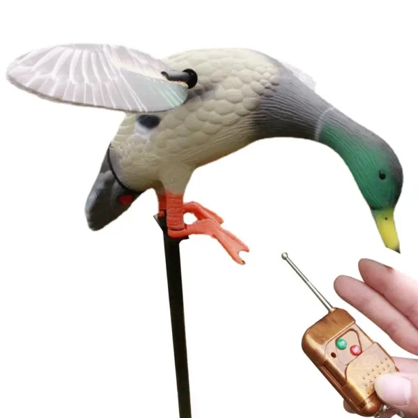 Electric Duck Decoy
