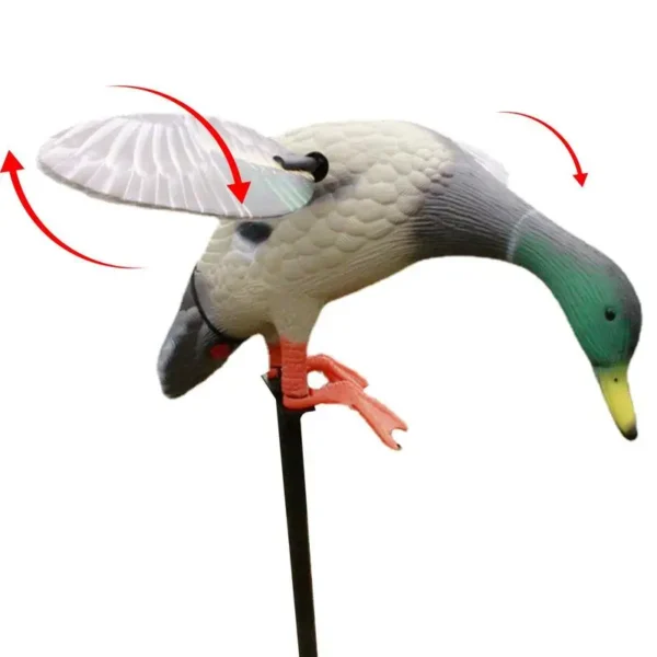 Electric Duck Decoy