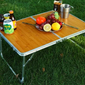 HooRu's  Aluminum Alloy Folding Table with Carry Bag