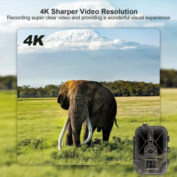 SUNTEKCAM's HC-940PROLi Trail Camera 36MP 4K