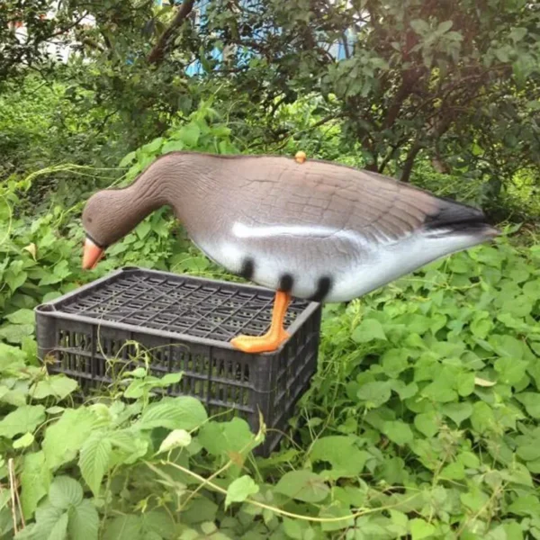 White fronted Goose Decoy