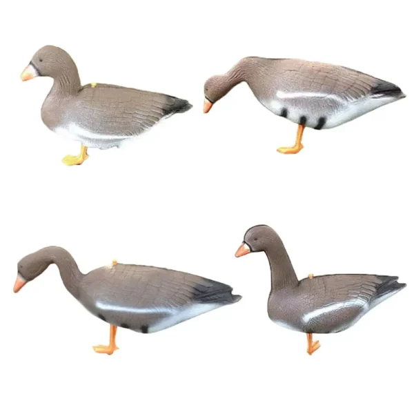 White fronted Goose Decoy