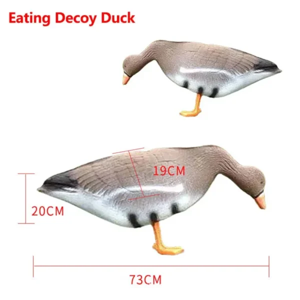 White fronted Goose Decoy