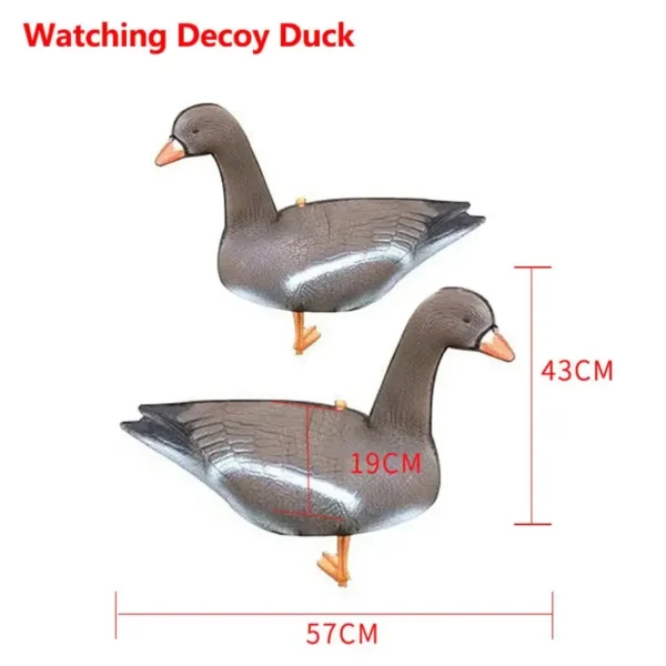 White fronted Goose Decoy