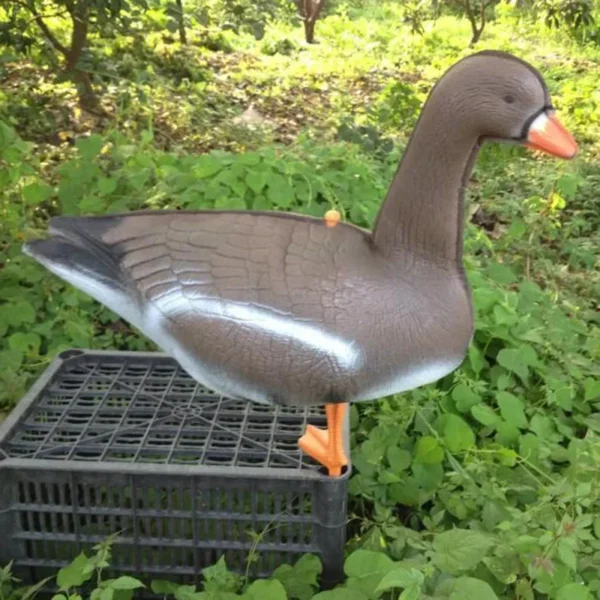 White fronted Goose Decoy