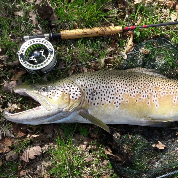 Goture 3/4 5/6 7/8 9/10 WT Fly Fishing Reels