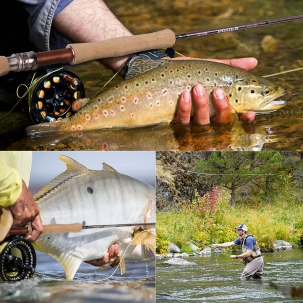 Goture PODER Fly Rod for Trout Bass 2.7M/9FT 4 Sections 4/5/7/8WT Fly Fishing Rod with Tube